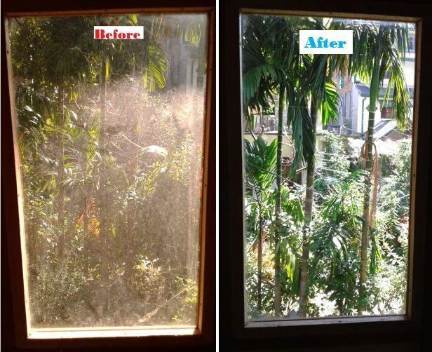 Fensterreinigung Vorher/Nachher mit Gartenblick