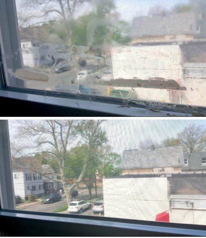 Fensterreinigung Fliegengitter Vorher/Nachher