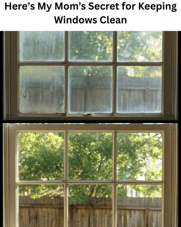 Fensterreinigung Vorher/Nachher
